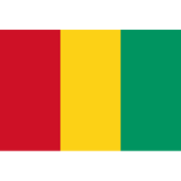 几内亚U17